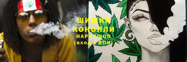 apvp Дмитровск