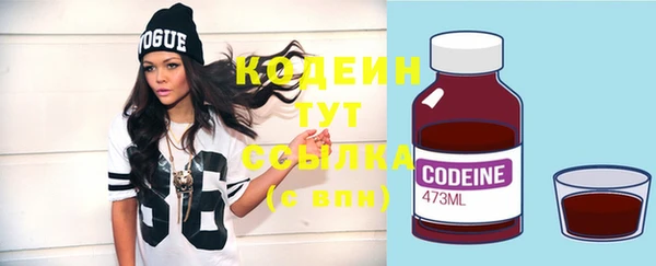 гашик Дмитриев