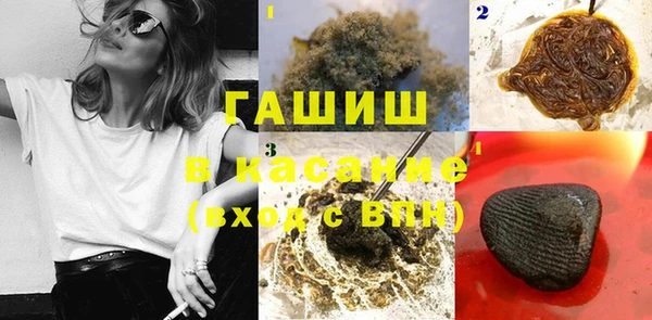 гашик Дмитриев
