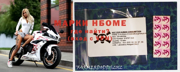гашик Дмитриев