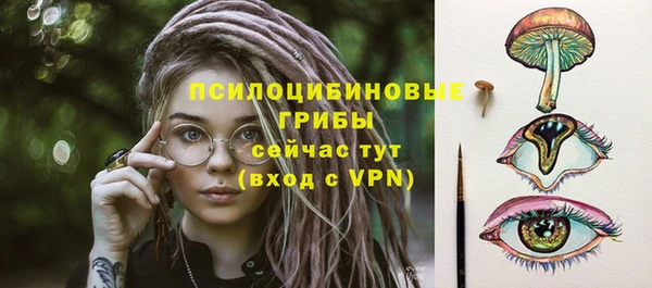 ешки Дмитров
