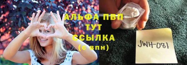 гашик Дмитриев