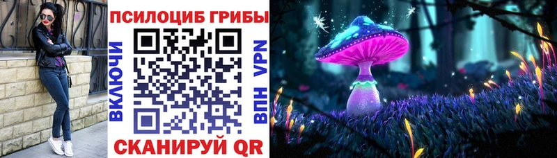 Купить закладки  Ставрополь  Псилоцибиновые грибы GOLDEN TEACHER 